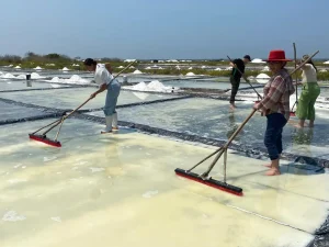 rectores del sistema de universidades tecnológicas y politécnicas visitan las salineras de sa (3)