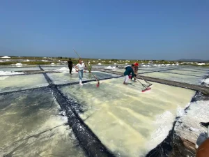 rectores del sistema de universidades tecnológicas y politécnicas visitan las salineras de sa