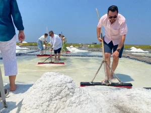 rectores del sistema de universidades tecnológicas y politécnicas visitan las salineras de sa (5)