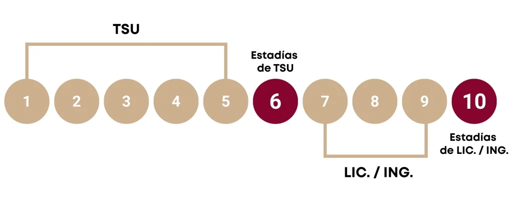 modelo de tsu ing lic