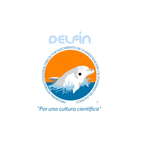 delfin (1)