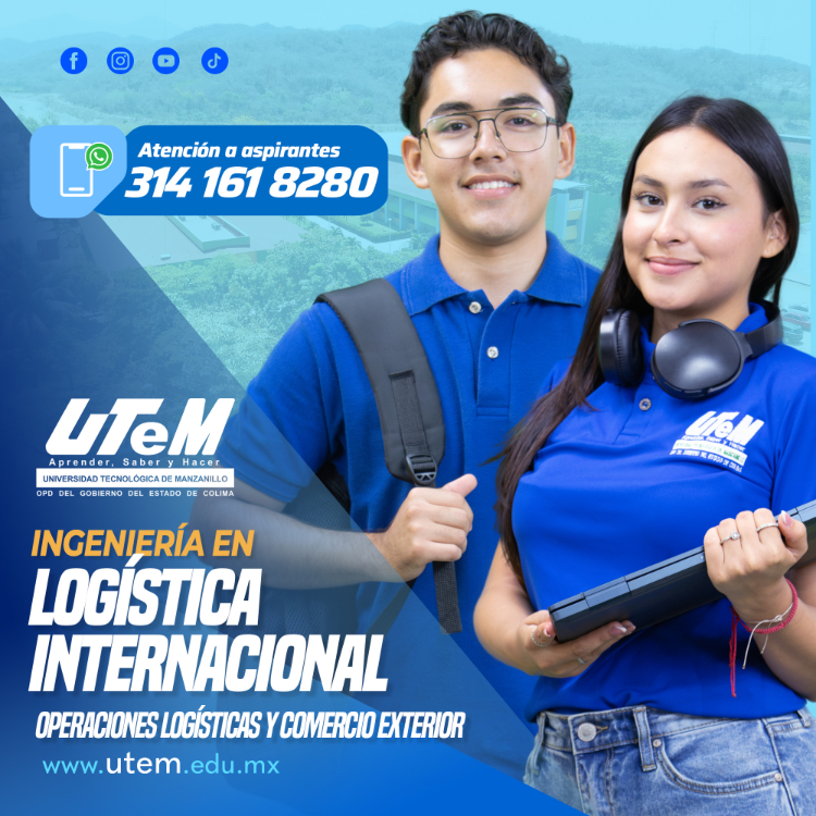 ingeniería en logística internacional