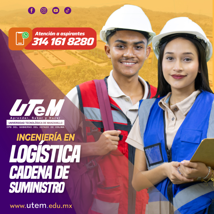 ingeniería en logística