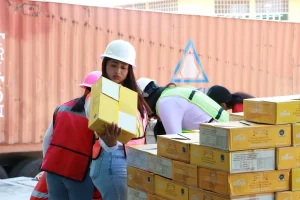 Estudiantes de la UPGM fortalecen competencias logísticas en simulador arancelario de la UTeM estudiantes de la upgm fortalecen competencias logísticas en simulador arancelario de la utem (3)